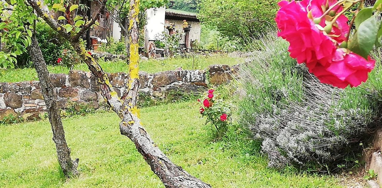 B&B Caselunghe Καμερίνο Εξωτερικό φωτογραφία